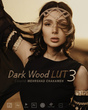 رنگ سینمایی Dark Wood LUT 3