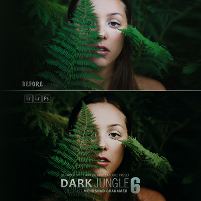 پریست رنگ Dark Jungle 6 Preset