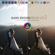 مجموعه رنگ Dark Brown Rock LUT 2